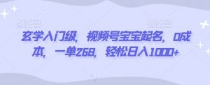 玄学入门级,视频号宝宝起名,0成本,一单268,轻松日入1000+【揭秘】-赚钱驿站