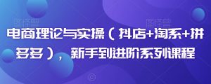 电商理论与实操(抖店+淘系+拼多多),新手到进阶系列课程-赚钱驿站