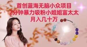 首创蓝海无脑小众项目,2分钟暴力吸粉小姐姐富太太,月入几十万【揭秘】-赚钱驿站