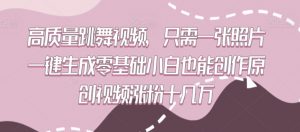 高质量跳舞视频,只需一张照片一键生成零基础小白也能创作原创视频涨粉十几万【揭秘】-赚钱驿站