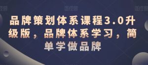 品牌策划体系课程3.0升级版,品牌体系学习,简单学做品牌-赚钱驿站