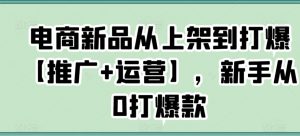 电商新品从上架到打爆【推广+运营】,新手从0打爆款-赚钱驿站