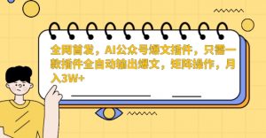 全网首发,AI公众号爆文插件,只需一款插件全自动输出爆文,矩阵操作,月入3W+【揭秘】-赚钱驿站