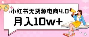 小红书新电商实战,无货源实操从0到1月入10w+联合抖音放大收益【揭秘】-赚钱驿站