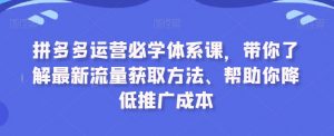 拼多多运营必学体系课,带你了解最新流量获取方法、帮助你降低推广成本-赚钱驿站