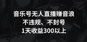 音乐号无人直播赚音浪,不违规、不封号,1天收益300+【揭秘】-赚钱驿站