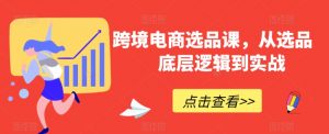 跨境电商选品课,从选品到底层逻辑到实战-赚钱驿站