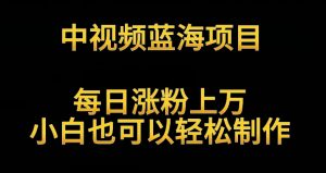 中视频蓝海项目,解读英雄人物生平,每日涨粉上万,小白也可以轻松制作,月入过万不是梦【揭秘】-赚钱驿站