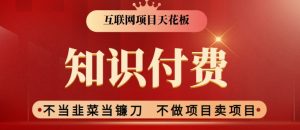 2024互联网项目天花板,新手小白也可以通过知识付费月入10W,实现财富自由【揭秘】-赚钱驿站