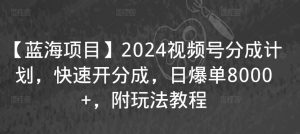 【蓝海项目】2024视频号分成计划,快速开分成,日爆单8000+,附玩法教程-赚钱驿站