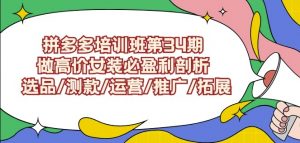 拼多多培训班第34期:做高价女装必盈利剖析选品/测款/运营/推广/拓展-赚钱驿站