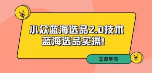 拼多多培训第33期:小众蓝海选品2.0技术-蓝海选品实操!-赚钱驿站