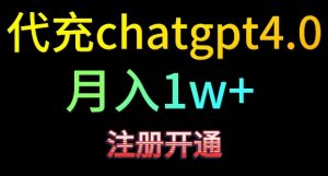 代充chatgpt4,日入500+,精准引流,暴力变现【揭秘】-赚钱驿站