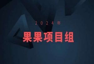 2024年果果项目组项目合集-果果最新项目-赚钱驿站