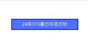 24年315暴力引流方针-赚钱驿站