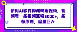 使用AI软件修改舞蹈视频,视频号一条视频涨粉3000+,条条原创,流量巨大【揭秘】-赚钱驿站