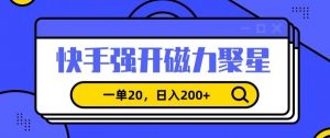 信息差赚钱项目,快手强开磁力聚星,一单20,日入200+【揭秘】-赚钱驿站