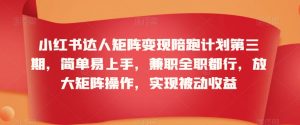 小红书达人矩阵变现陪跑计划第三期,简单易上手,兼职全职都行,放大矩阵操作,实现被动收益-赚钱驿站