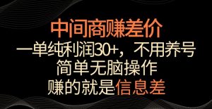 中间商赚差价,一单纯利润30+,简单无脑操作,赚的就是信息差,轻轻松松日入1000+【揭秘】-赚钱驿站