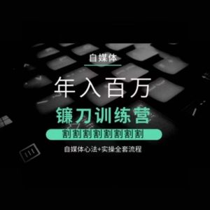 自媒体年入百万镰刀训练营,割割割割割割割割,自媒体心法+实操全套流程-赚钱驿站
