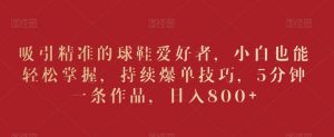 吸引精准的球鞋爱好者,小白也能轻松掌握,持续爆单技巧,5分钟一条作品,日入800+【揭秘】-赚钱驿站