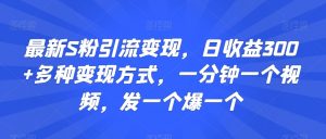 最新S粉引流变现,日收益300+多种变现方式,一分钟一个视频,发一个爆一个【揭秘】-赚钱驿站
