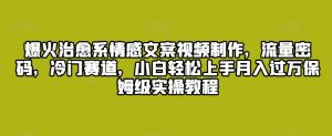 爆火治愈系情感文案视频制作,流量密码,冷门赛道,小白轻松上手月入过万保姆级实操教程【揭秘】-赚钱驿站