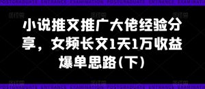 小说推文推广大佬经验分享,女频长文1天1万收益爆单思路(下)-赚钱驿站