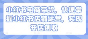 小红书电商带货,快速掌握小红书店铺运营,实现开店创收-赚钱驿站
