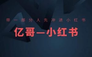 带一部分人先冲进小红书,小红书开店、选品、爆款裂变-赚钱驿站