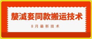 抖音96万粉丝账号【嫠㵄㚣】同款搬运技术-赚钱驿站
