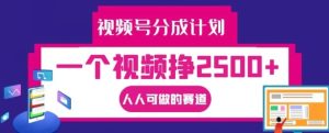 视频号分成计划,一个视频挣2500+,人人可做的赛道【揭秘】-赚钱驿站