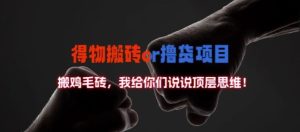 得物搬砖撸货项目?掰下数据,我给你们说说顶层思维【揭秘】-赚钱驿站