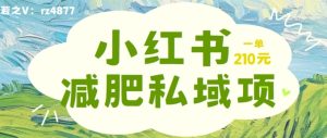 小红书减肥粉,私域变现项目,一单就达210元,小白也能轻松上手【揭秘】-赚钱驿站