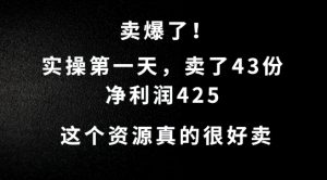 这个资源,需求很大,实操第一天卖了43份,净利润425【揭秘】-赚钱驿站
