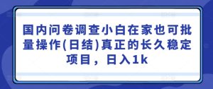 国内问卷调查小白在家也可批量操作(日结)真正的长久稳定项目,日入1k【揭秘】-赚钱驿站