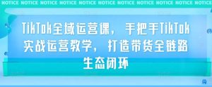 TikTok全域运营课,手把手TikTok实战运营教学,打造带货全链路生态闭环-赚钱驿站