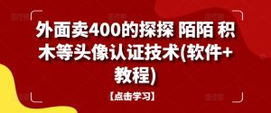 外面卖400的探探 陌陌 积木等头像认证技术(软件+教程)-赚钱驿站