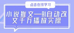 小说推文—AI自动改文千万播放实操-赚钱驿站