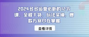 2024多多运营必听的12节课,全程干货,玩法实操,爆款方案尽在掌握-赚钱驿站