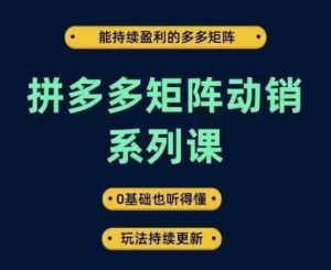 拼多多矩阵动销系列课,能持续盈利的多多矩阵,0基础也听得懂,玩法持续更新-赚钱驿站