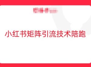 小红书矩阵引流技术,教大家玩转小红书流量-赚钱驿站