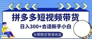 拼多多短视频带货日入300+有长期稳定被动收益,合适新手小白【揭秘】-赚钱驿站