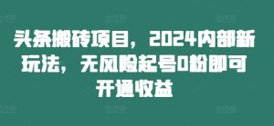 头条搬砖项目,2024内部新玩法,无风险起号0粉即可开通收益-赚钱驿站