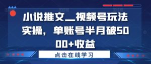 小说推文—视频号玩法实操,单账号半月破5000+收益-赚钱驿站