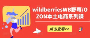 wildberriesWB野莓/OZON本土电商系列课,掌握WB产品优化,出单技巧和订单处理等-赚钱驿站