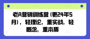 老A营销训练营(更24年9月),轻理论,重实战,轻概念,重本质-赚钱驿站