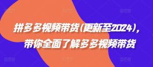 拼多多视频带货(更新至2024),带你全面了解多多视频带货-赚钱驿站