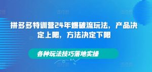 拼多多特训营24年爆破流玩法,产品决定上限,方法决定下限,各种玩法技巧落地实操-赚钱驿站
