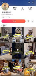 快手MT搬运技术,一比一搬运不剪辑,剧情可用,条条同框-赚钱驿站
